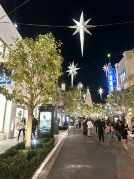 11/14 LA CHRISTMAS イルミネーション