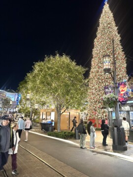 11/14 LA CHRISTMAS イルミネーション