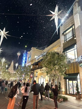 11/14 LA CHRISTMAS イルミネーション