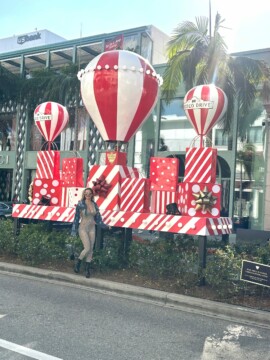11/17 RODEO DRIVE